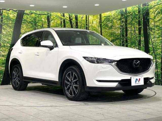 Mazda CX-5 2017-02 13740-16