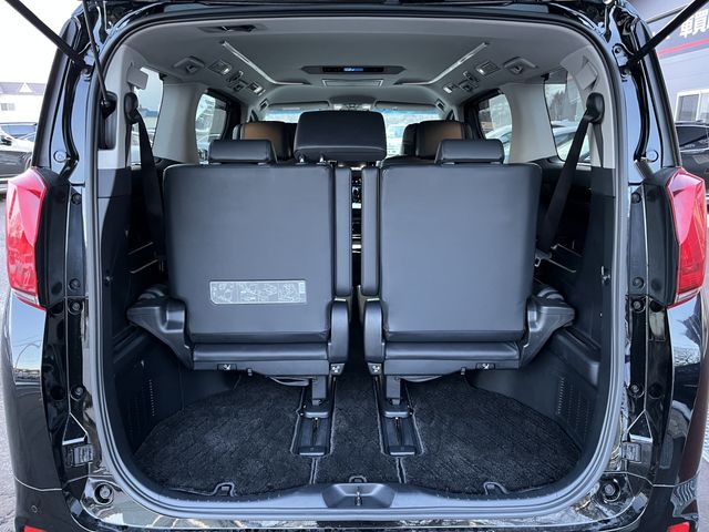 Toyota ALPHARD HYBRID 2018-11 67-26