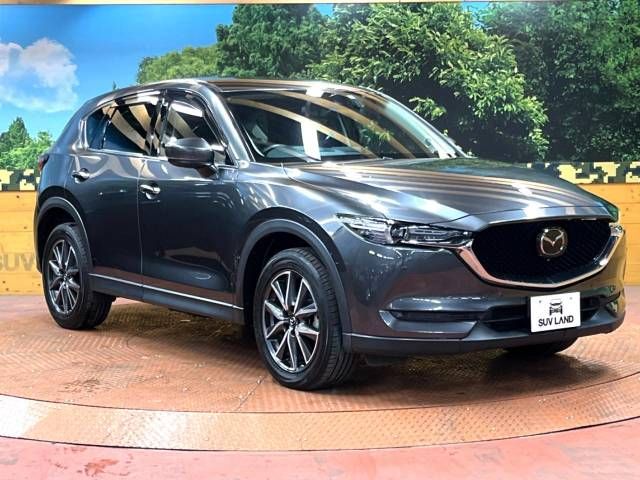 Mazda CX-5 2019-01 194124-16