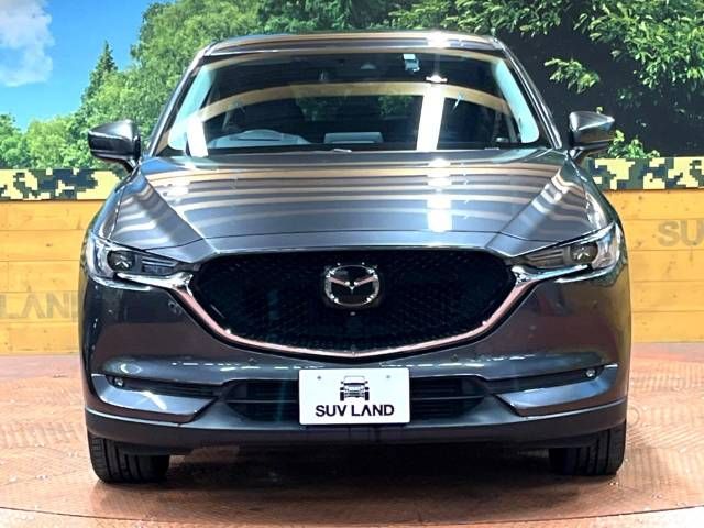 Mazda CX-5 2019-01 194124-14