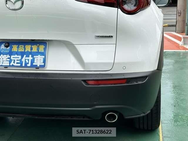 Mazda CX-30 2022-01 295540-10