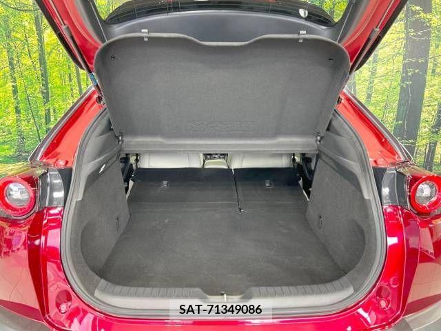 Mazda MX-30 2021-03 364358-10