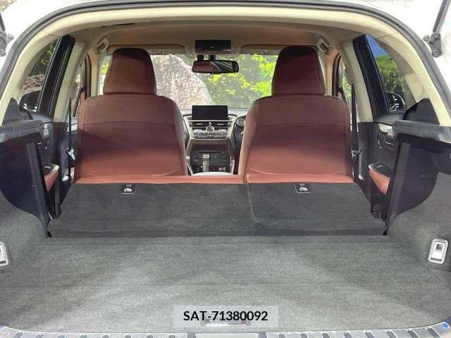 Lexus NX 2017-04 353993-10