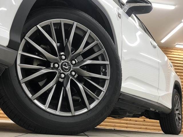 Lexus RX 2018-09 10555-18