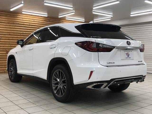 Lexus RX 2018-09 10555-16