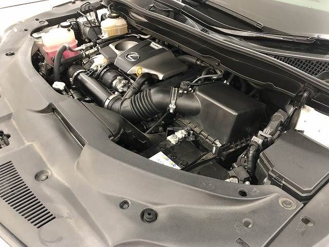 Lexus RX 2018-09 10555-19