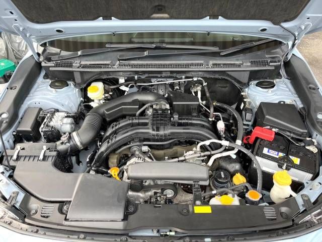 Subaru SUBARU 2019-02 182313-17