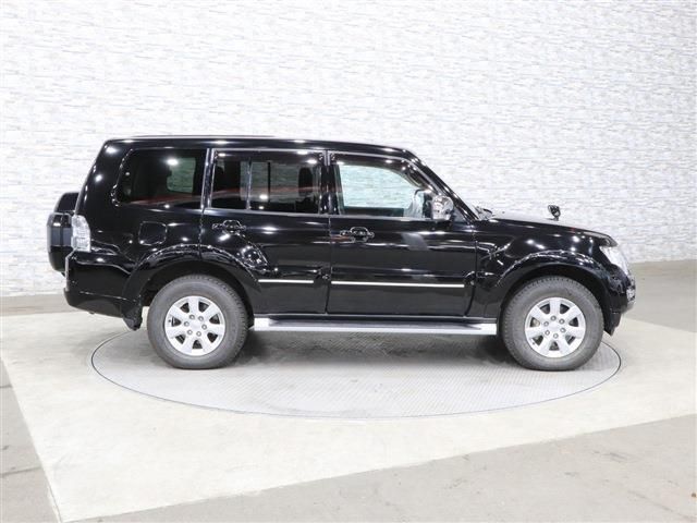 Mitsubishi PAJERO 2017-03 191059-8