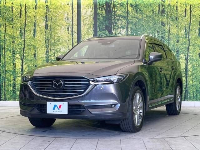 Mazda CX-8 2018-02 183049-16