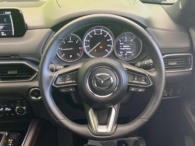 Mazda CX-8 2018-02 183049-11