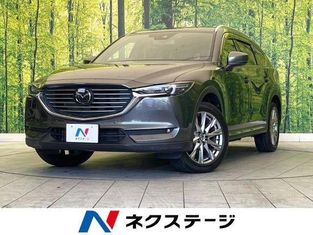 Mazda CX-8 2018-02 183049-0