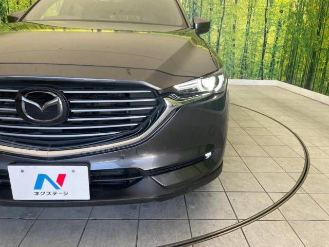 Mazda CX-8 2018-02 183049-12