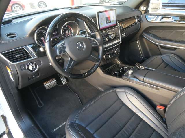 Amg GL 2014-03 195674-9