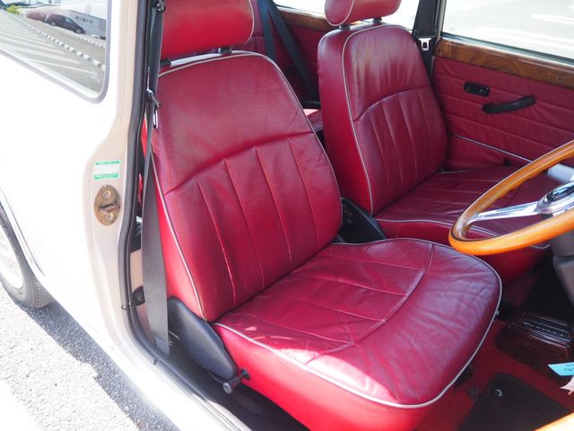 ROVER MINI 1997-09 3877-18