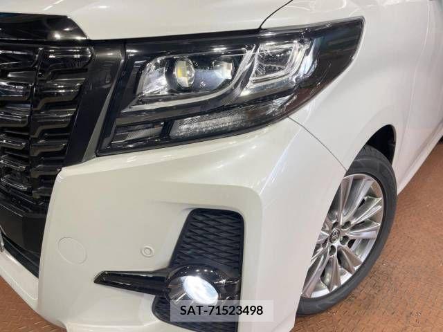 Toyota ALPHARD 2017-06 217424-14