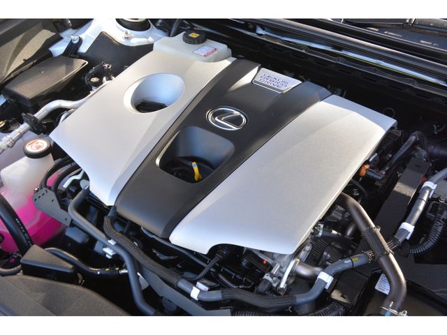 Lexus ES 2019-02 192548-22