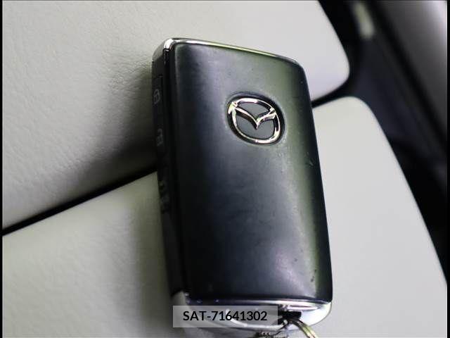 Mazda CX-8 2021-03 308580-15