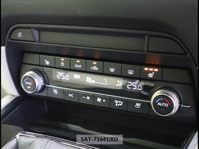 Mazda CX-8 2021-03 308580-12