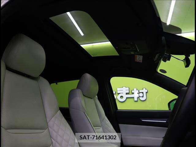 Mazda CX-8 2021-03 308580-7