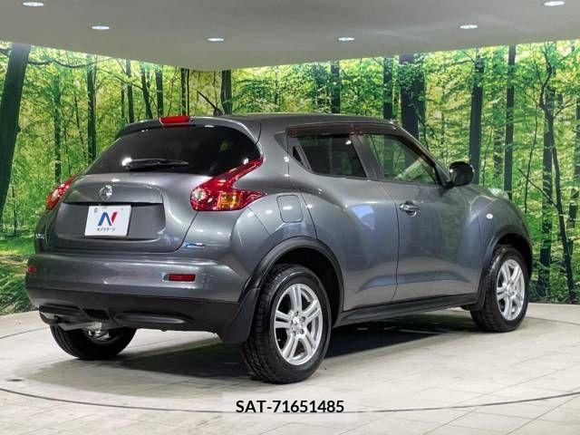 Nissan JUKE 2011-10 320489-17