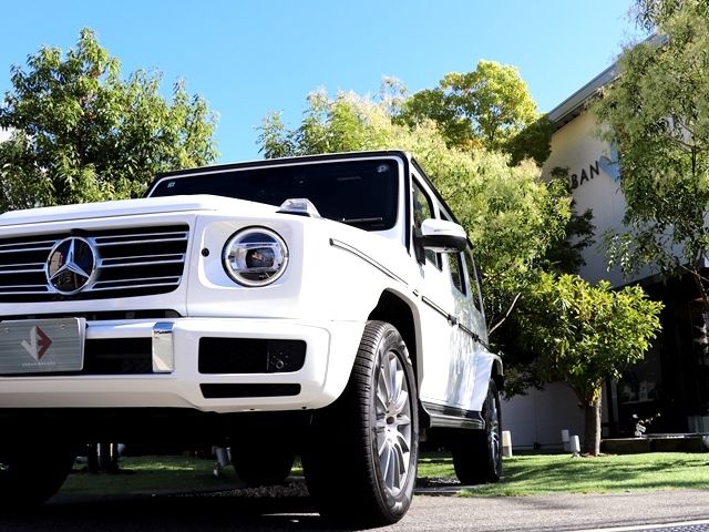 Mercedes Benz G-CLASS 2022-07 21936-8