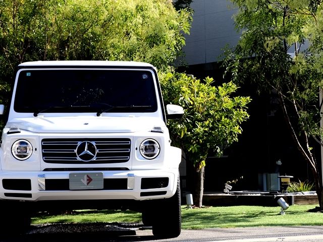 Mercedes Benz G-CLASS 2022-07 21936-4