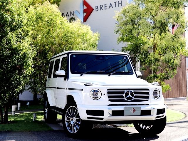 Mercedes Benz G-CLASS 2022-07 21936-0
