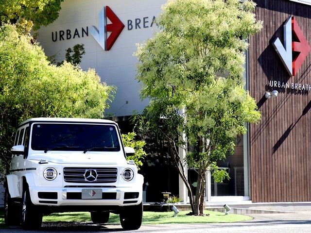 Mercedes Benz G-CLASS 2022-07 21936-5