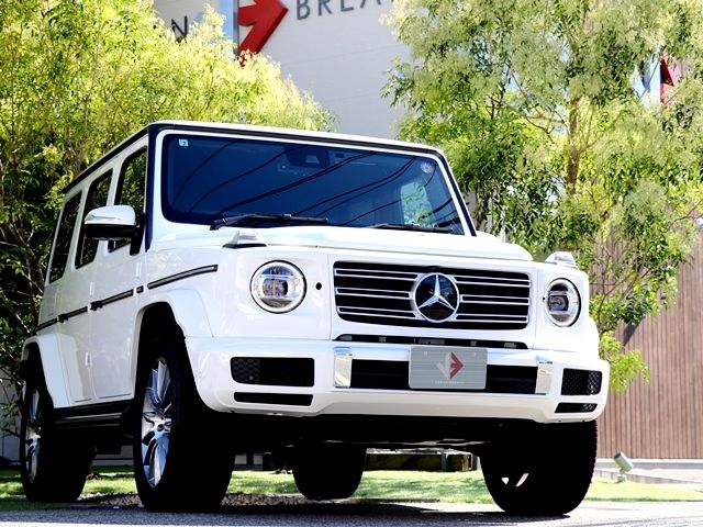 Mercedes Benz G-CLASS 2022-07 21936-6