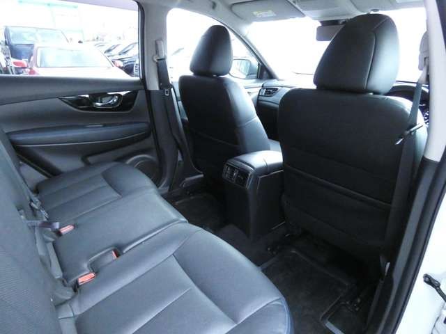 Nissan X-TRAIL 2019-01 29242-26