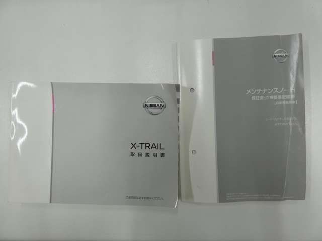 Nissan X-TRAIL 2019-01 29242-28