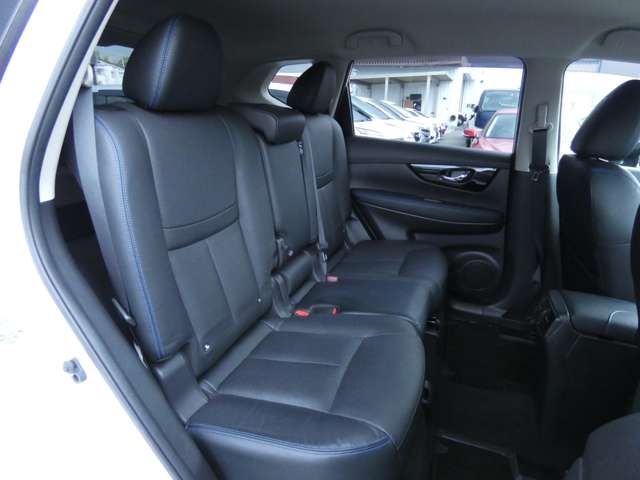 Nissan X-TRAIL 2019-01 29242-25
