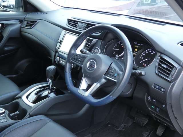 Nissan X-TRAIL 2019-01 29242-11