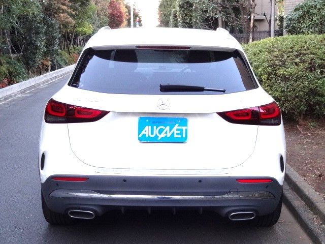 Mercedes Benz GLA-CLASS 2021-03 194184-9