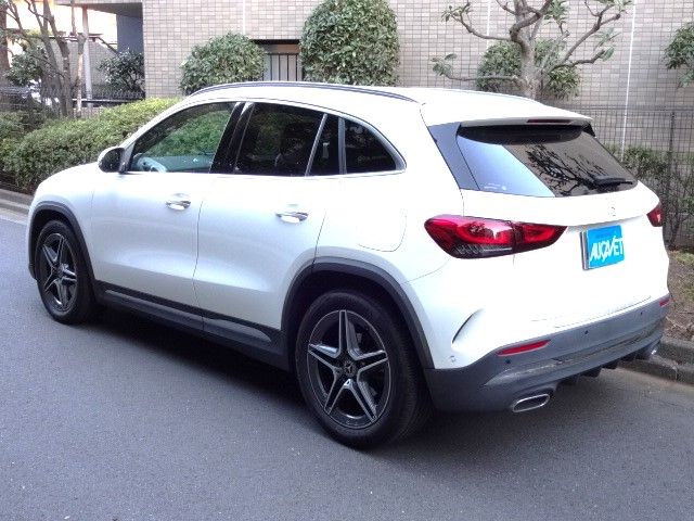 Mercedes Benz GLA-CLASS 2021-03 194184-2