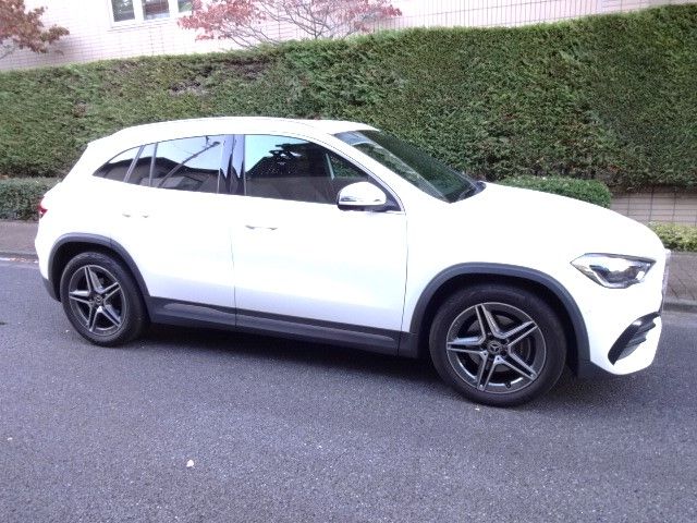 Mercedes Benz GLA-CLASS 2021-03 194184-7