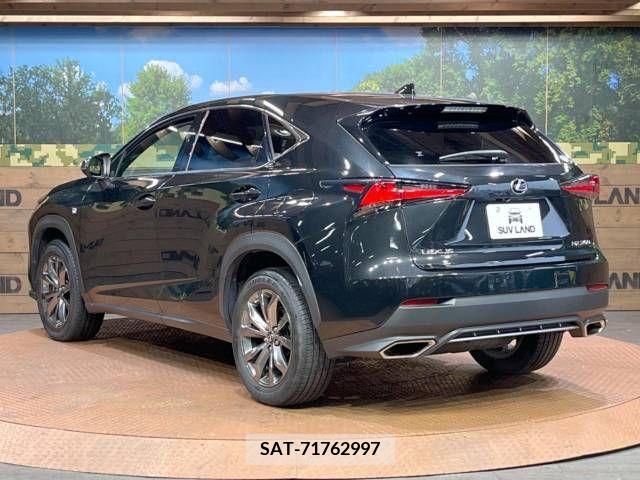 Lexus NX 2019-11 223049-17