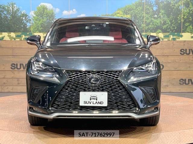 Lexus NX 2019-11 223049-14