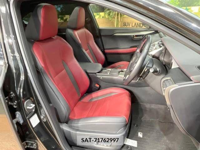 Lexus NX 2019-11 223049-9