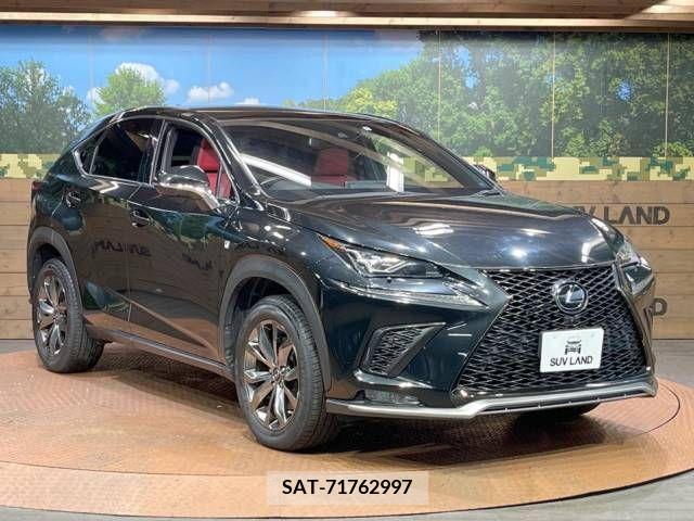 Lexus NX 2019-11 223049-16