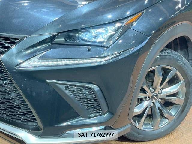 Lexus NX 2019-11 223049-12