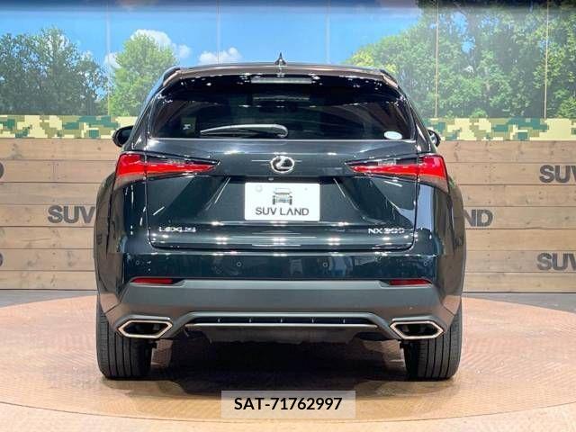 Lexus NX 2019-11 223049-15