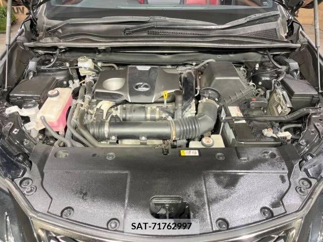 Lexus NX 2019-11 223049-19