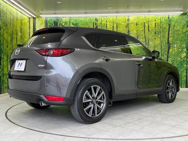 Mazda CX-5 2017-06 184407-17