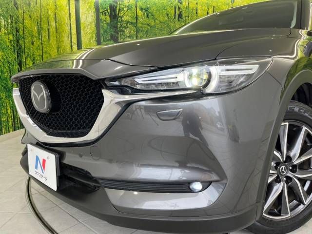 Mazda CX-5 2017-06 184407-12