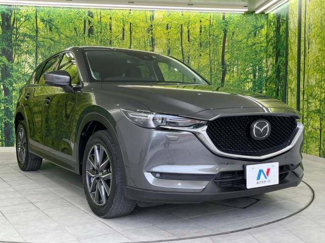 Mazda CX-5 2017-06 184407-16