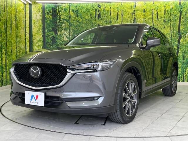 Mazda CX-5 2017-06 184407-19