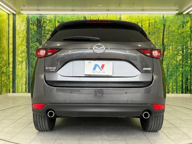 Mazda CX-5 2017-06 184407-15