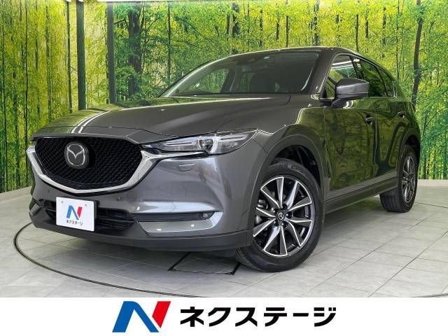 Mazda CX-5 2017-06 184407-0