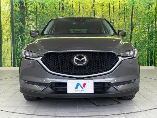 Mazda CX-5 2017-06 184407-14